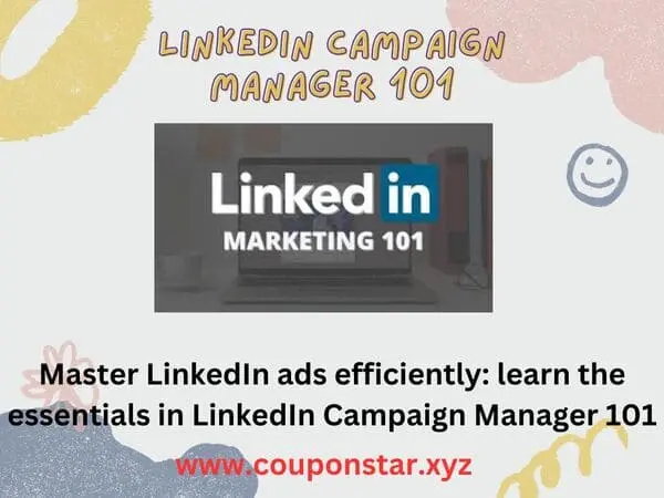 Master LinkedIn ads efficiently: learn the essentials in LinkedIn Campaign Manager 101
