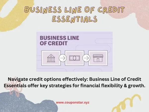 Business Line of Credit Essentials