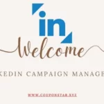 Unlocking the Potential of LinkedIn AdManager