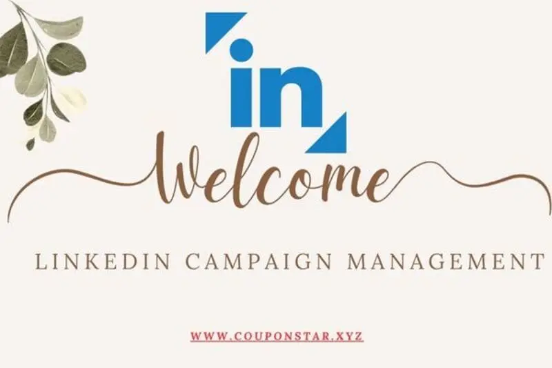Unlocking the Potential of LinkedIn AdManager
